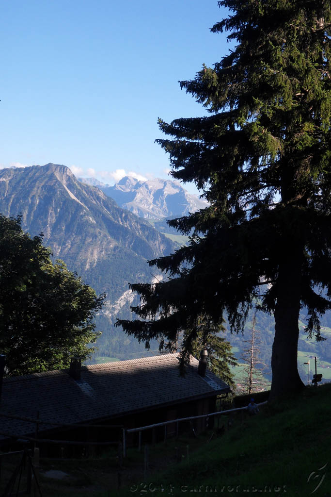 Swiss_2011-09-12-1726_0256_JL.jpg - SAMSUNG DIGITAL CAMERA