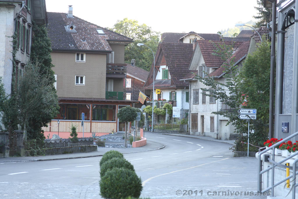 Swiss_2011-09-12-1750_0520_AS.jpg