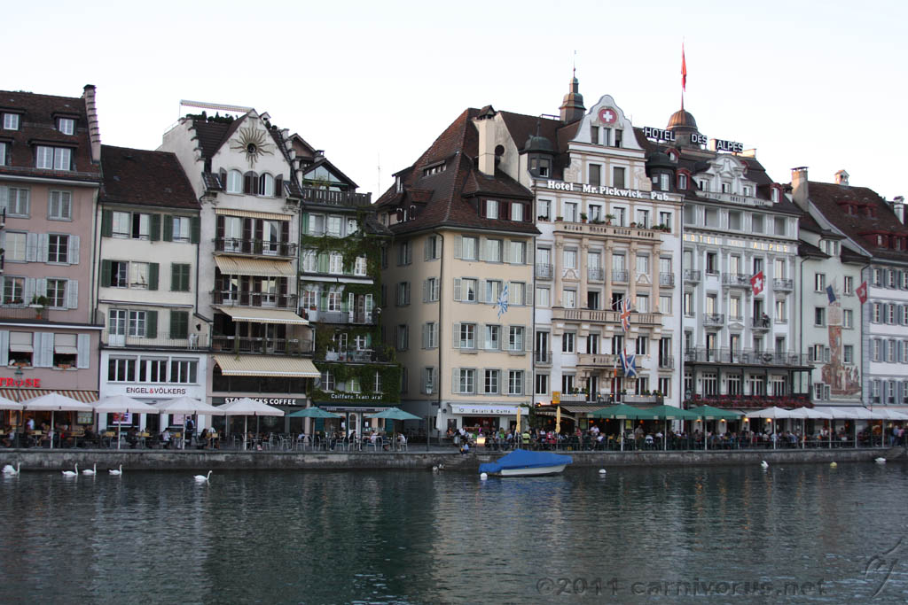 Swiss_2011-09-12-1920_0212_AS.jpg