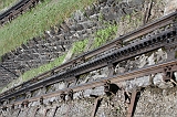 Swiss_2011-09-12-1147_0238_AS