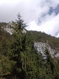Swiss_2011-09-12-1151_0014_OG