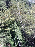 Swiss_2011-09-12-1151_0015_OG