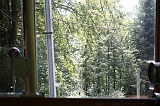 Swiss_2011-09-12-1153_0251_AS