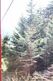 Swiss_2011-09-12-1154_0253_AS