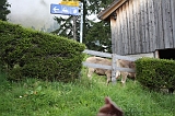 Swiss_2011-09-12-1201_0268_AS