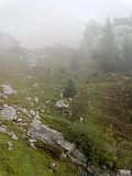 Swiss_2011-09-12-1202_0028_OG