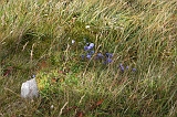 Swiss_2011-09-12-1431_0396_AS