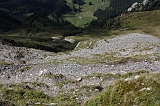 Swiss_2011-09-12-1501_0431_AS