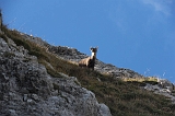 Swiss_2011-09-12-1538_0237_JL