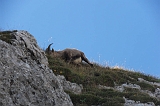 Swiss_2011-09-12-1538_0238_JL