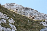 Swiss_2011-09-12-1541_0463_AS