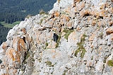Swiss_2011-09-12-1604_0480_AS
