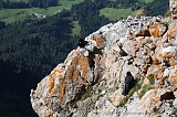 Swiss_2011-09-12-1605_0481_AS