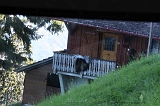 Swiss_2011-09-12-1728_0511_AS