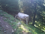 Swiss_2011-09-12-1058_007_JV