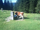 Swiss_2011-09-12-1101_009_JV