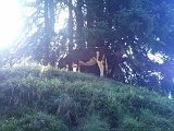 Swiss_2011-09-12-1103_010_JV