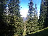 Swiss_2011-09-12-1105_011_JV