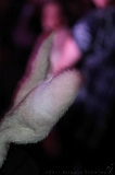 Festival_2011-10-01-2224_215_AS