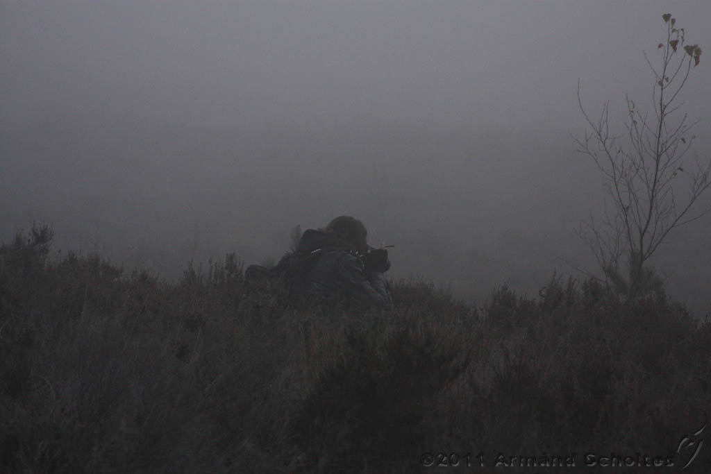 FogForest_24.jpg