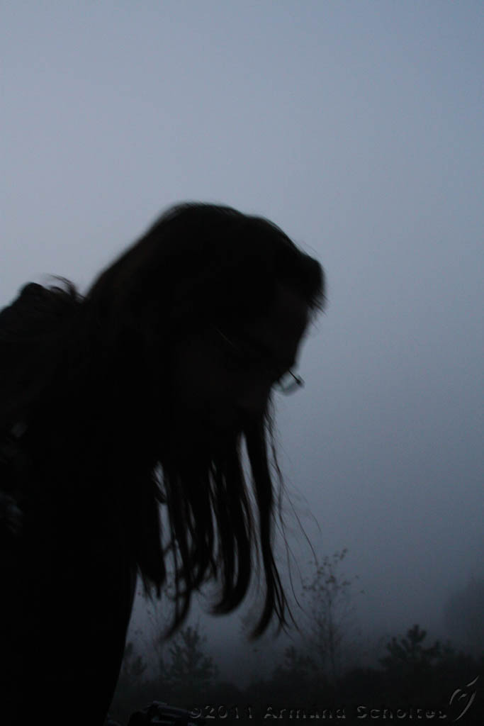 FogForest_26.jpg