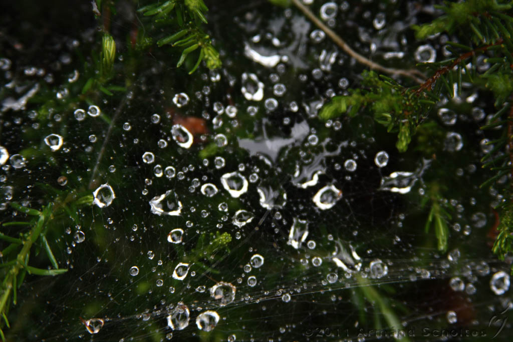 2011-07-24_Waterdrops_002.jpg
