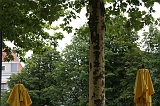 2011-07-22_A_View_001