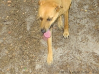2013-08-11 Jack